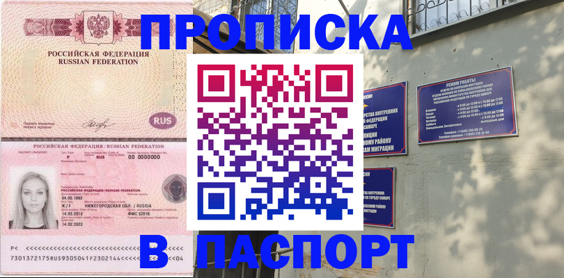 прописка в Сураже